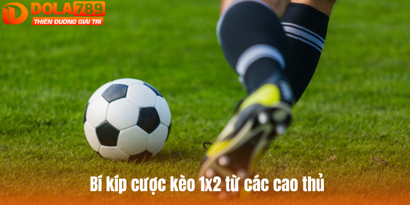 Bí kíp cược kèo 1x2 dễ thắng từ các cao thủ