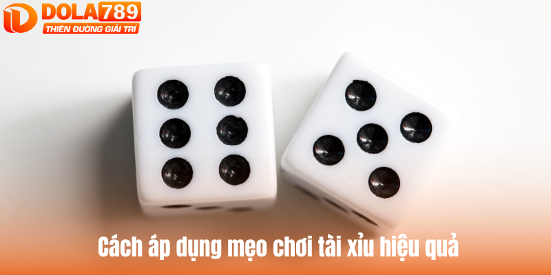 Hướng dẫn cách áp dụng mẹo chơi tài xỉu hiệu quả tại DOLA789
