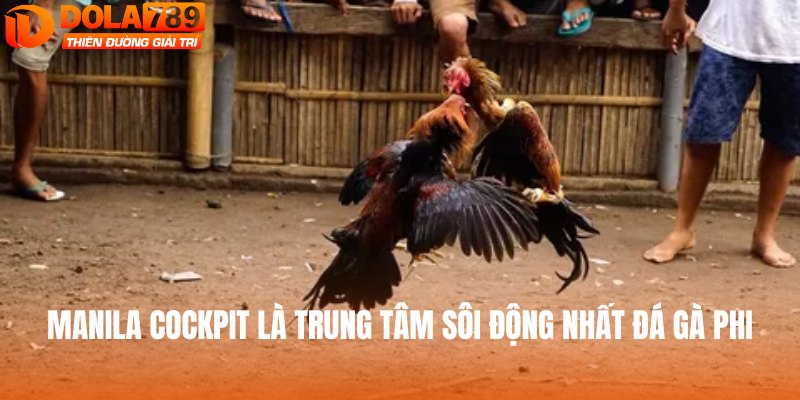 Manila Cockpit là trung tâm sôi động nhất đá gà Phi