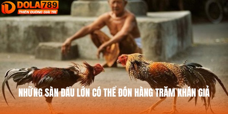 Những sàn đấu lớn có thể đón hàng trăm khán giả